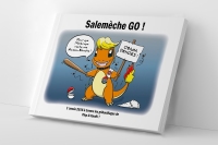 Salemèche GO ! (2016)